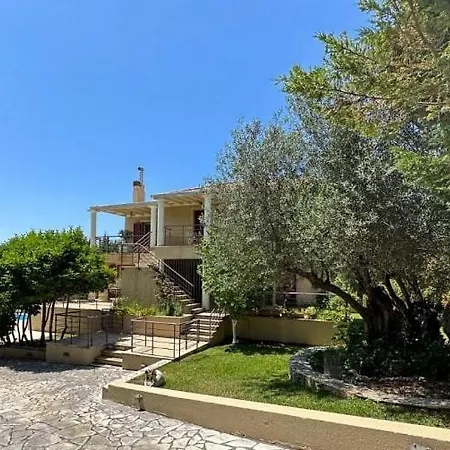 Apeiron - Olive Forest 佩萨达