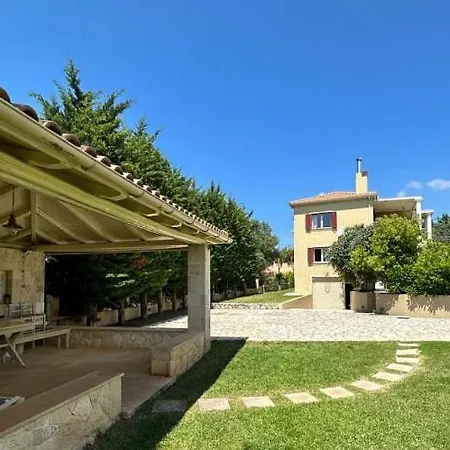 Apeiron - Olive Forest *