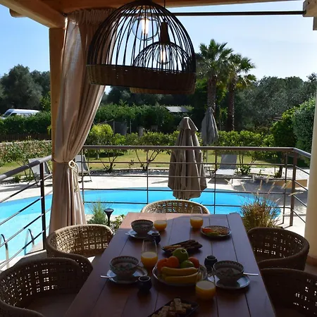 Apeiron - Olive Forest Apartamento