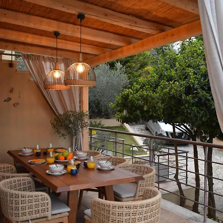 Apeiron - Olive Forest